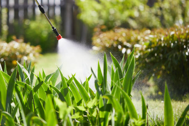 24/7 Emergency Cockroach Control experts in Woodall, OK