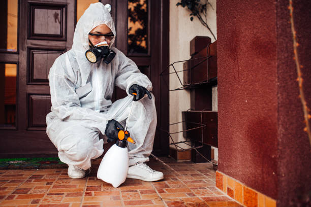 Reliable Cockroach Control contractor in Woodall, OK by Nex Pest Control