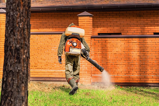 Top rated local Cockroach Control specialists in Woodall, OK